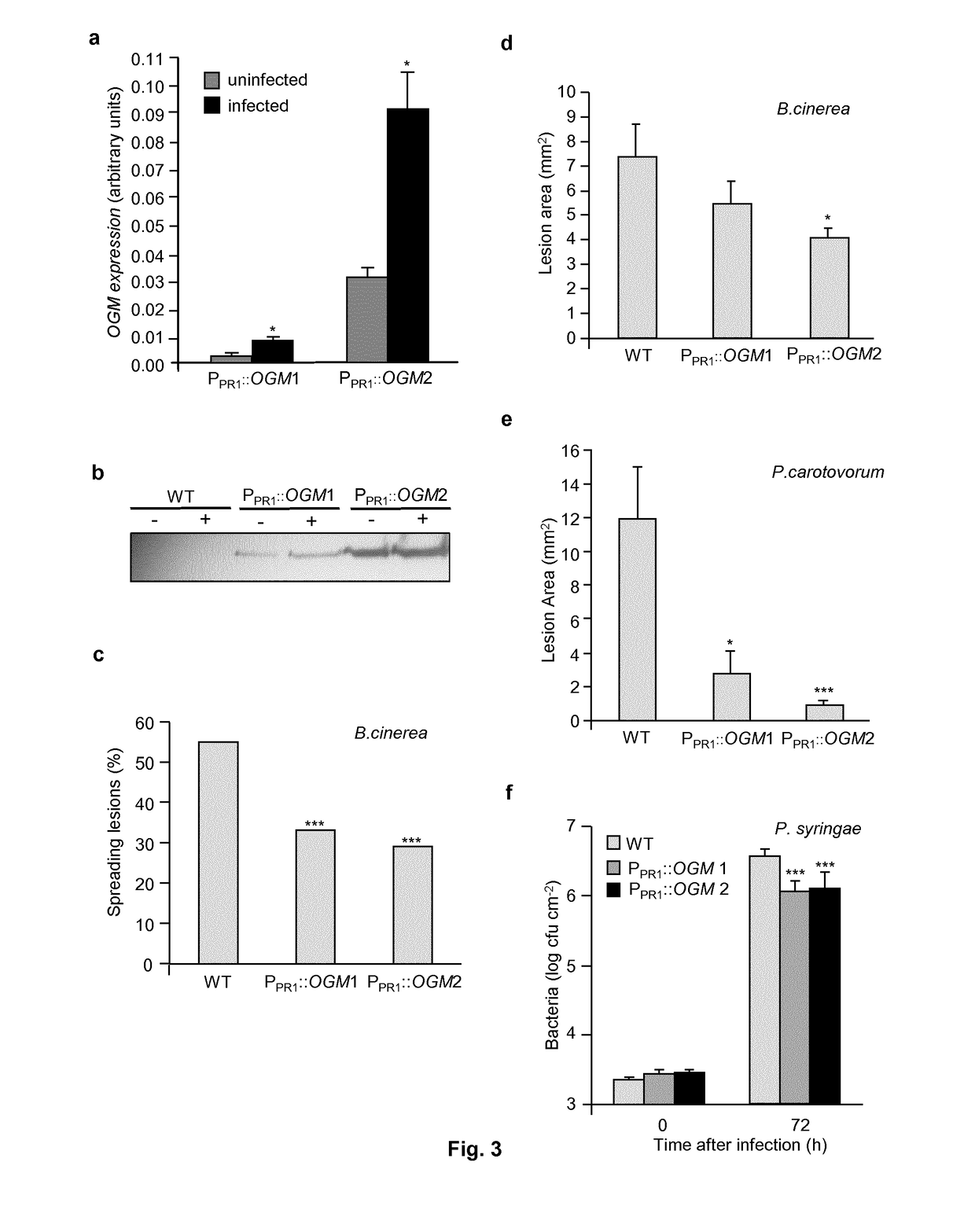 Fusion protein and transgenic plant expressing said protein