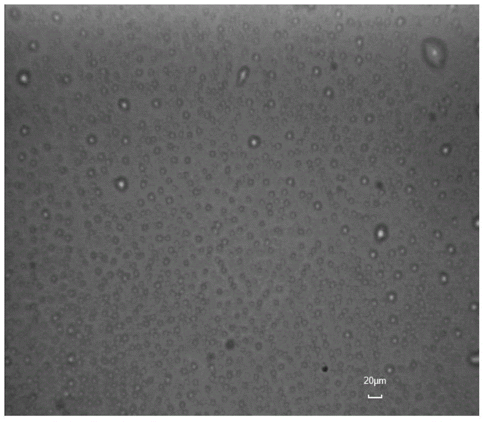 Porous polymer with adjustable surface properties of interpenetrating network and preparation method thereof