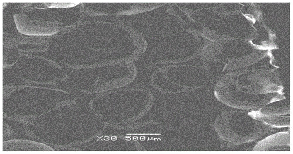 Porous polymer with adjustable surface properties of interpenetrating network and preparation method thereof