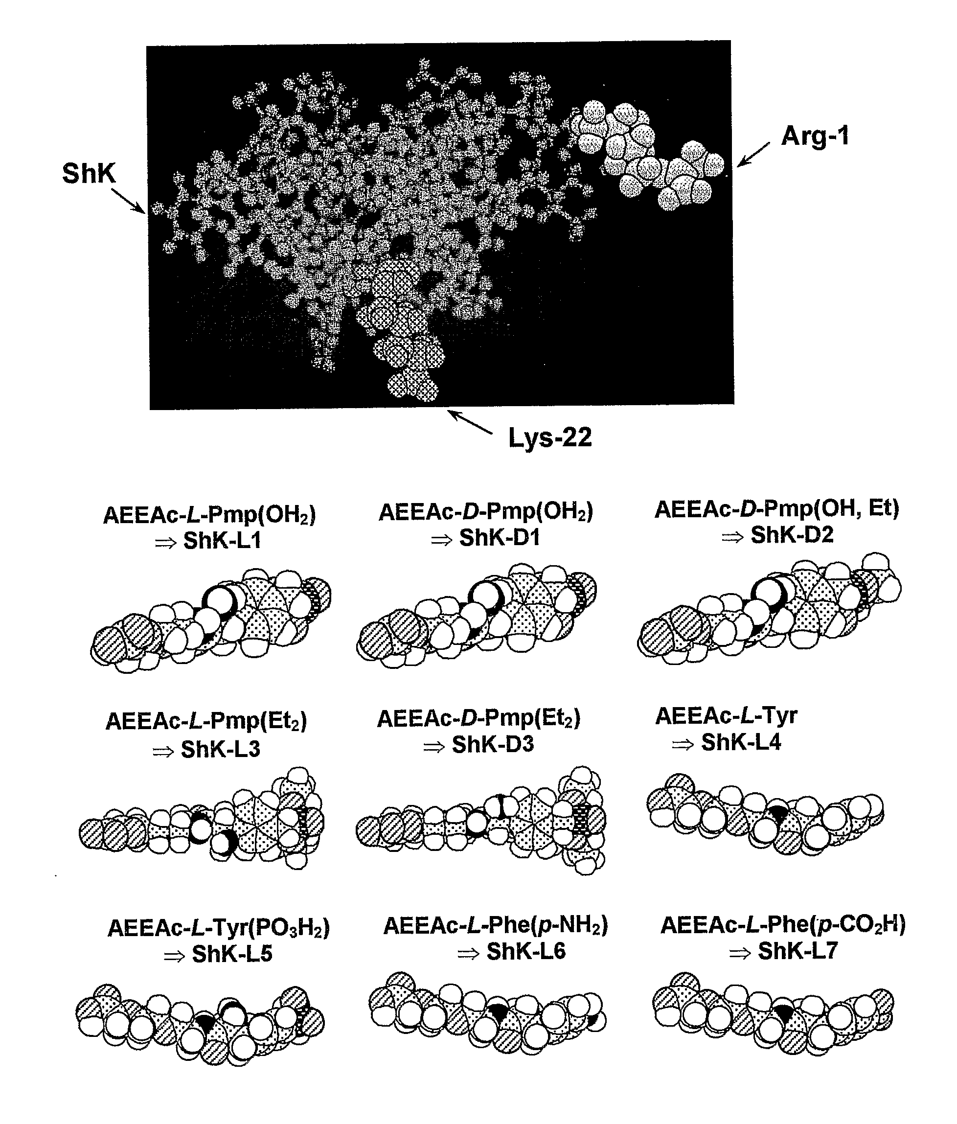 Analogs of Shk Toxin and Their Uses in Selective Inhibittion of Kv1. 3 Potassium Channels