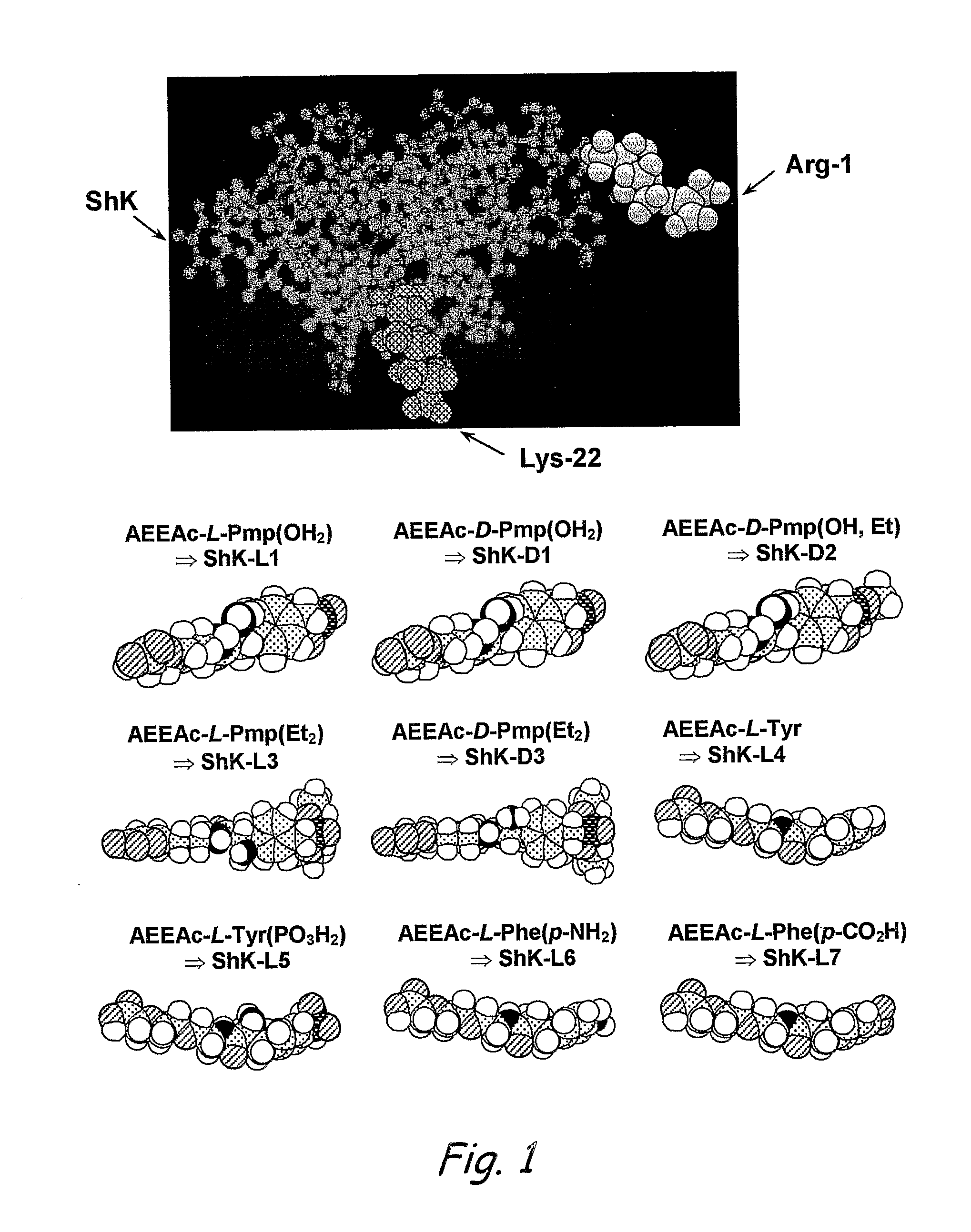 Analogs of Shk Toxin and Their Uses in Selective Inhibittion of Kv1. 3 Potassium Channels