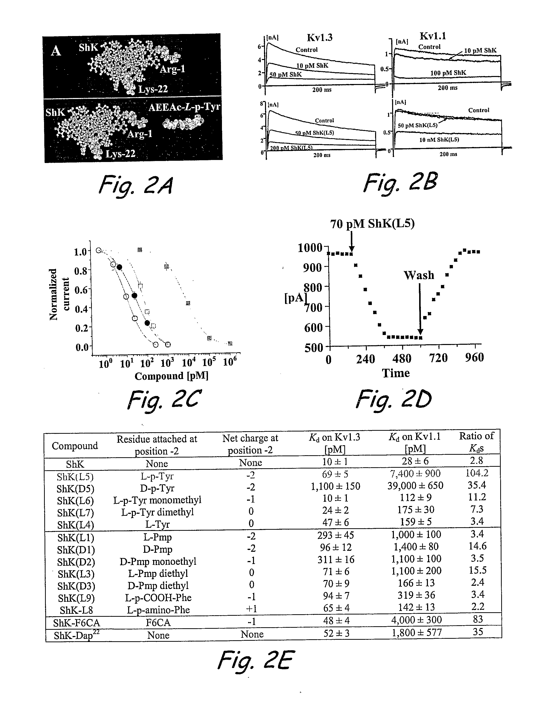 Analogs of Shk Toxin and Their Uses in Selective Inhibittion of Kv1. 3 Potassium Channels