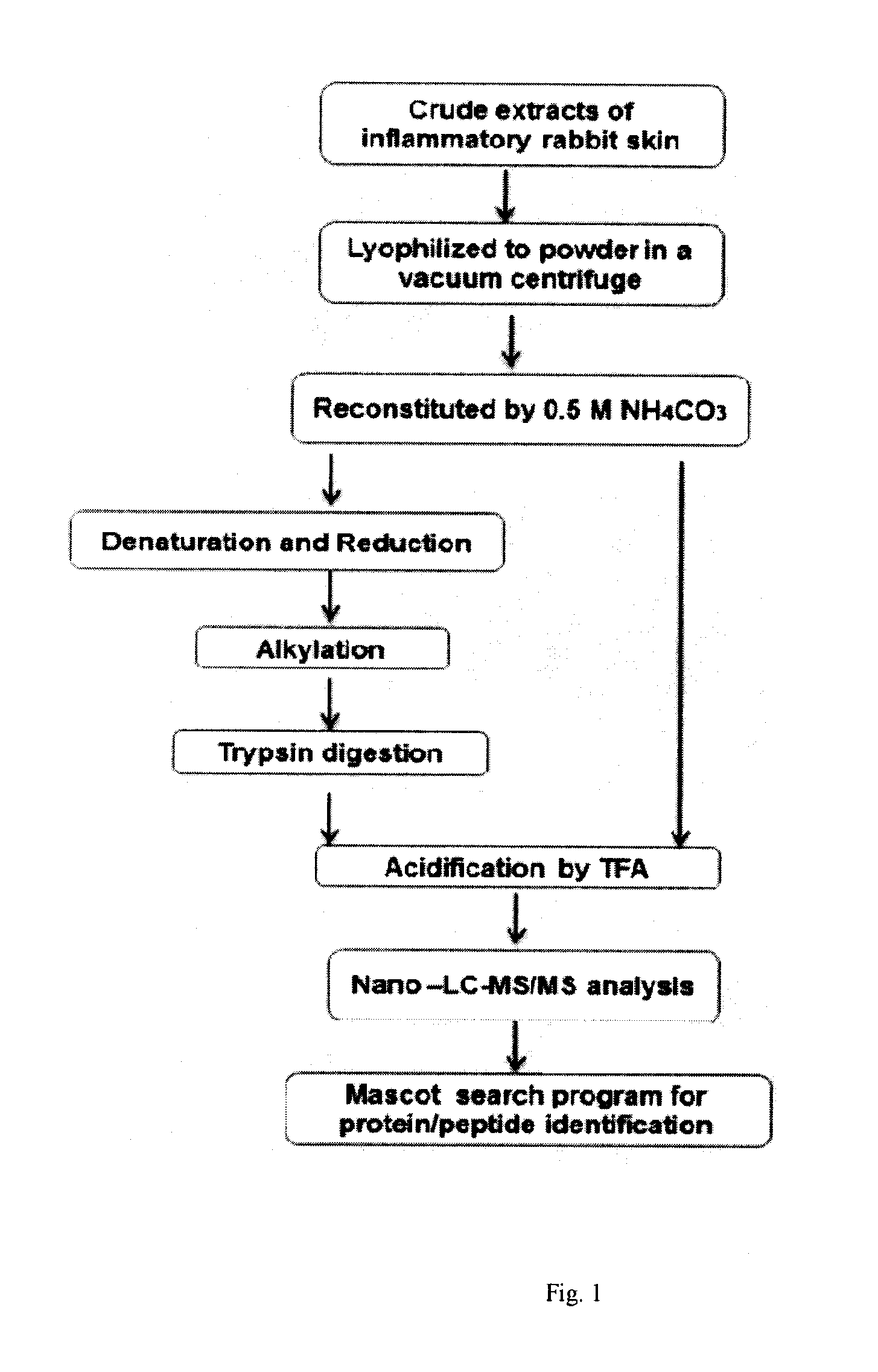 Peptide and the use thereof