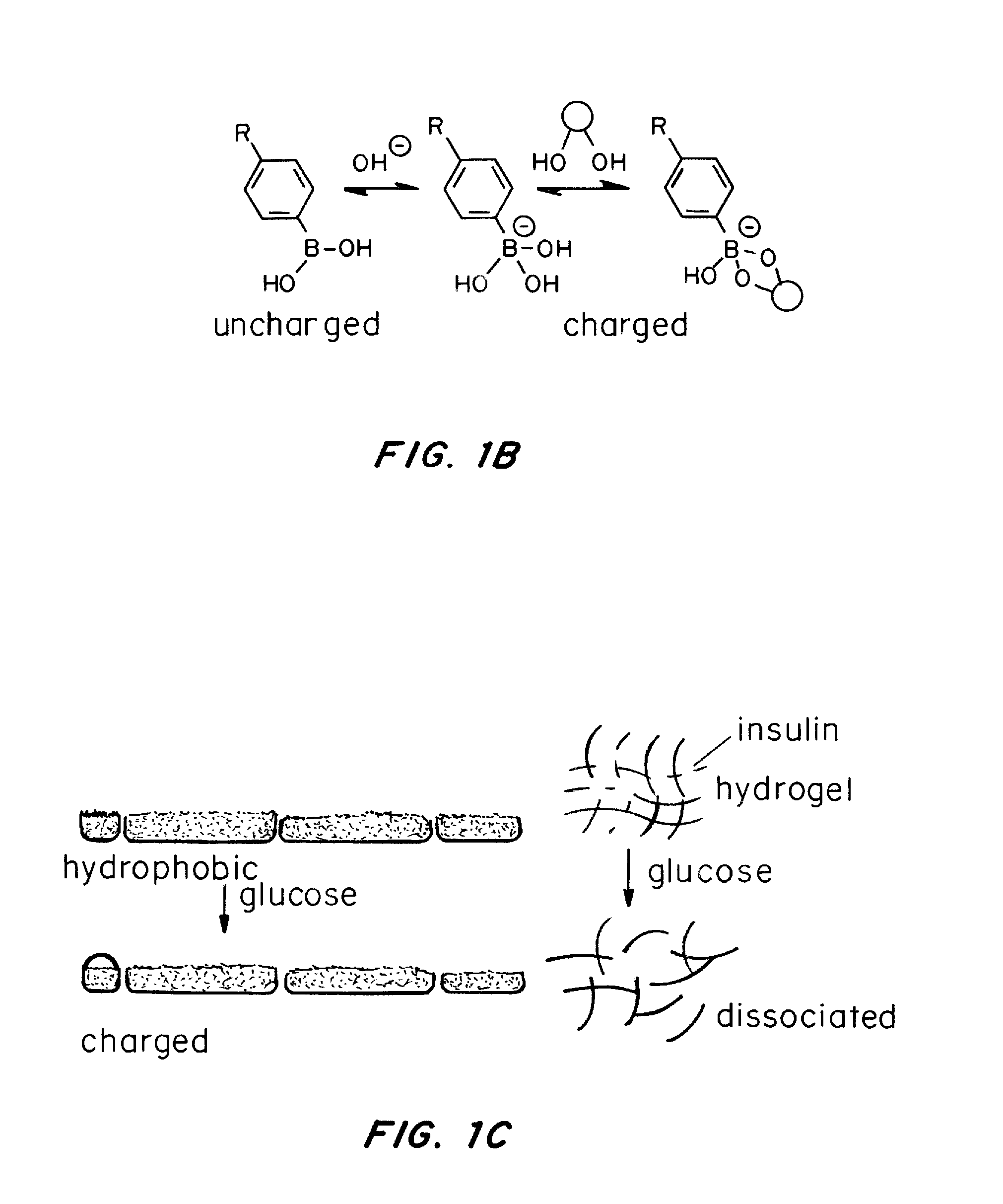 Self-regulated peptide hydrogel for insulin delivery