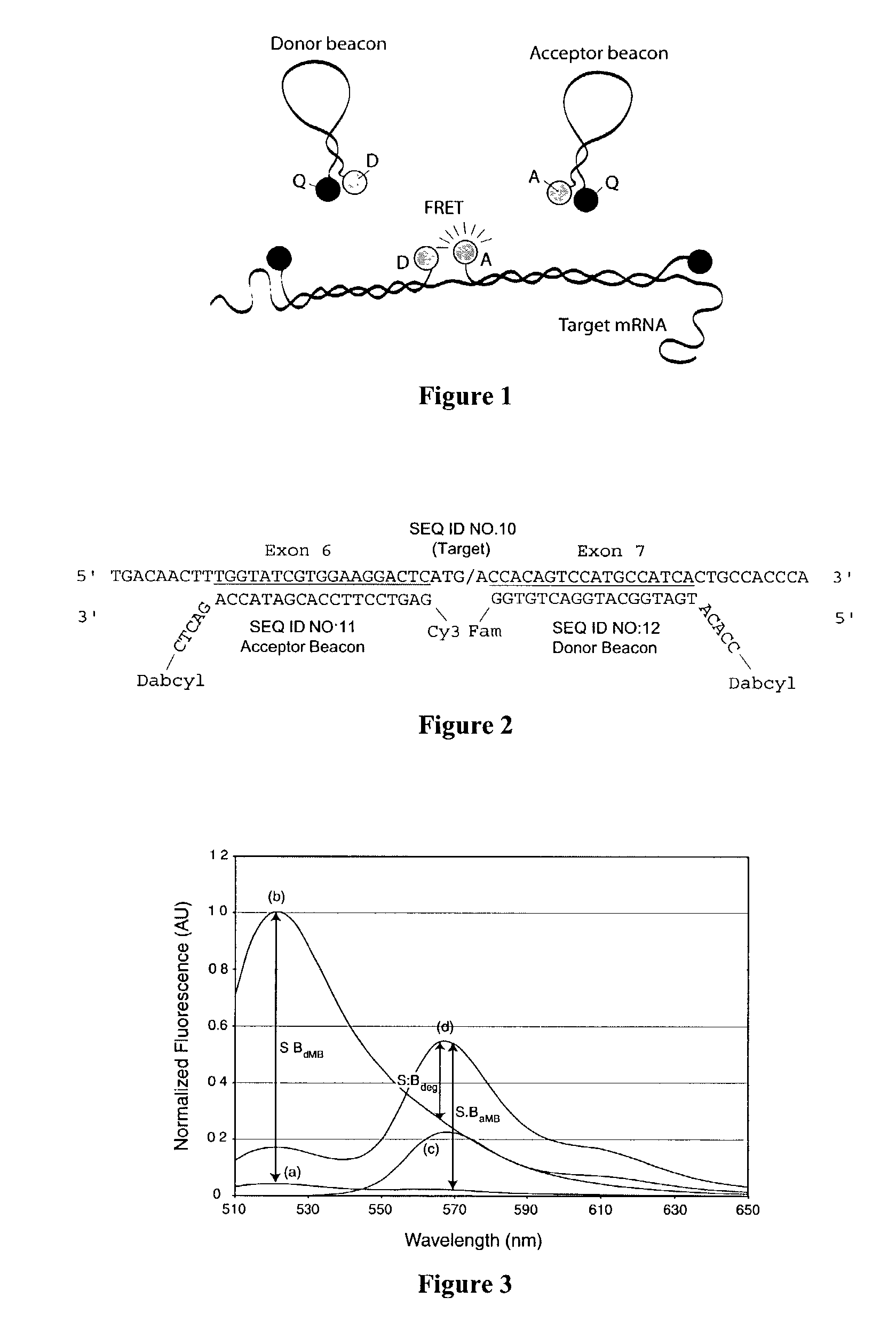 Dual resonance energy transfer nucleic acid probes