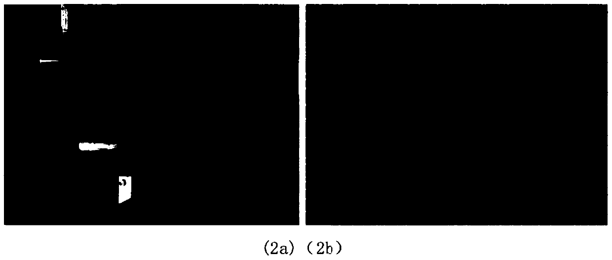 Piezoelectric stent composition capable of realizing self-generating electricity stimulation as well as preparation method and application thereof