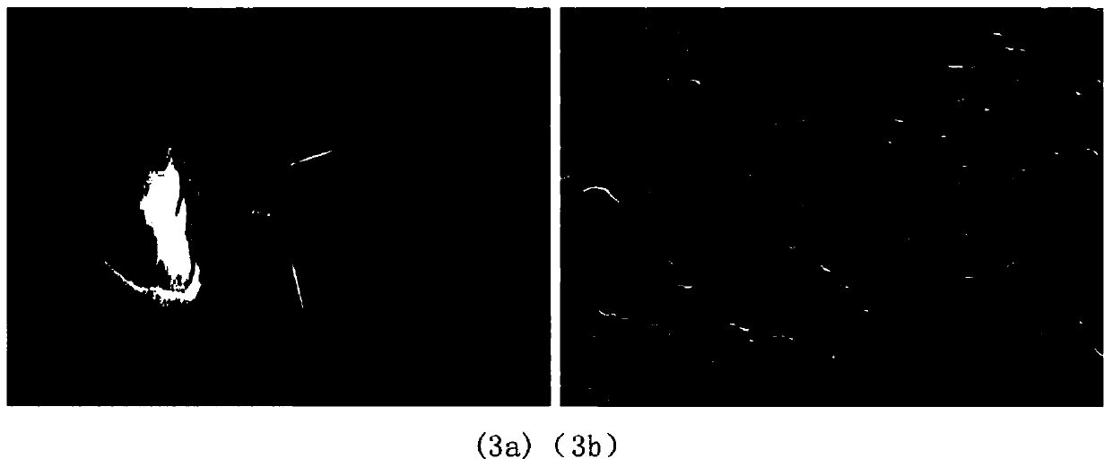 Piezoelectric stent composition capable of realizing self-generating electricity stimulation as well as preparation method and application thereof