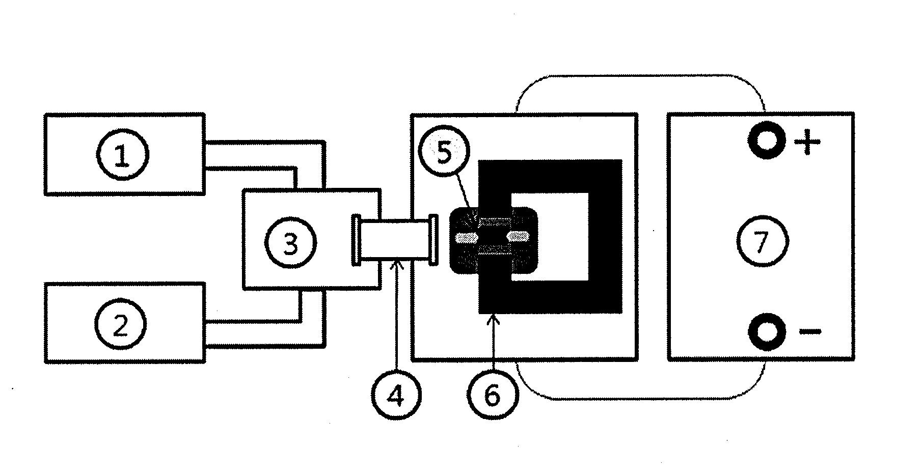 Method for detection of radiation-induced damage to biomaterial using magnetic sensor and magnetic sensor biochip for biodosimetry using the same