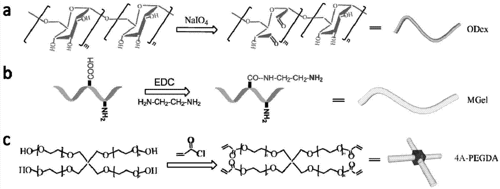 Preparation method of injectable double-cross-linked hydrogel for tissue engineering