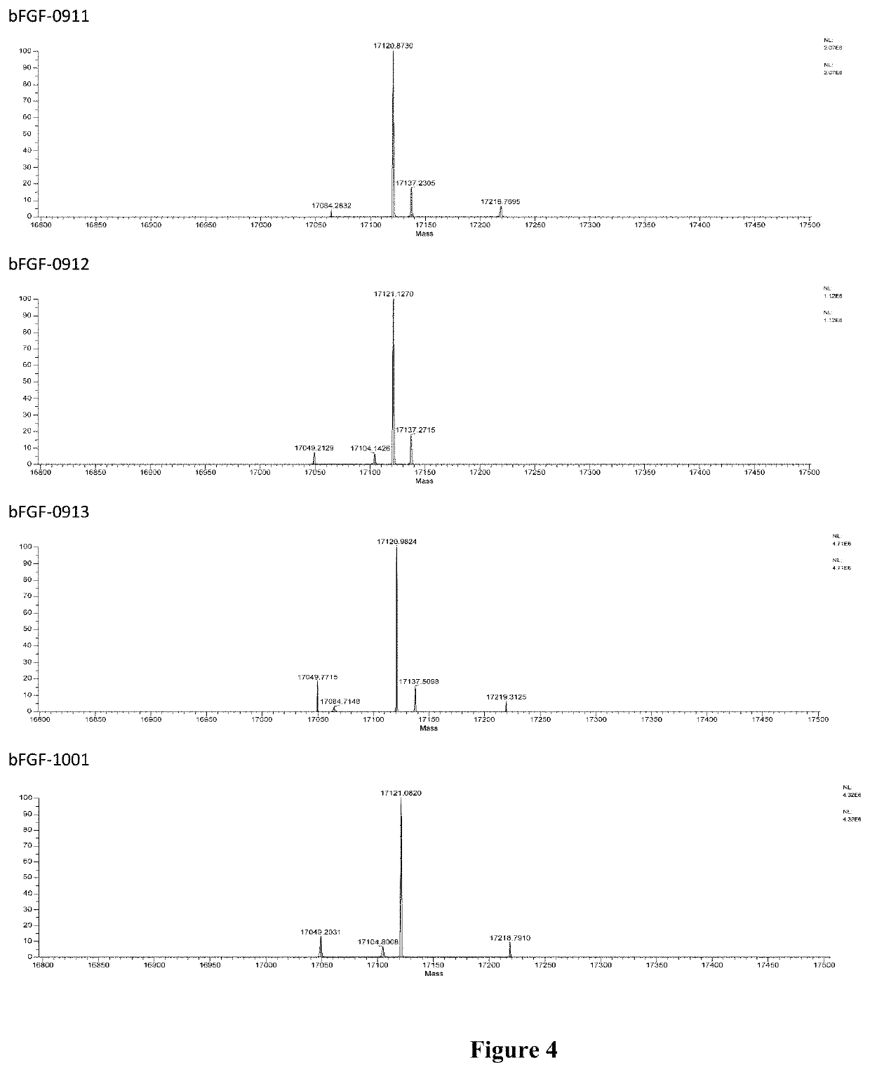 RECOMBINANT HUMAN-BASIC FIBROBLAST GROWTH FACTOR (rh-bFGF) AND PHARMACEUTICAL COMPOSITION COMPRISING rh-bFGF