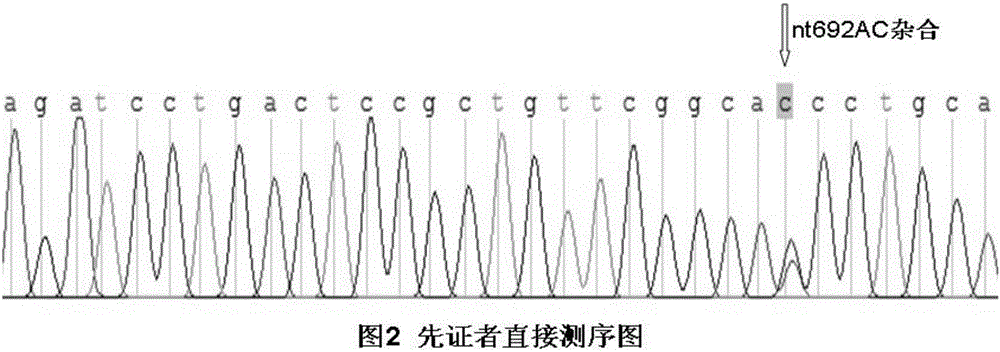 Single-nucleotide polymorphism locus of ABO blood variant inducing hemolytic transfusion reaction