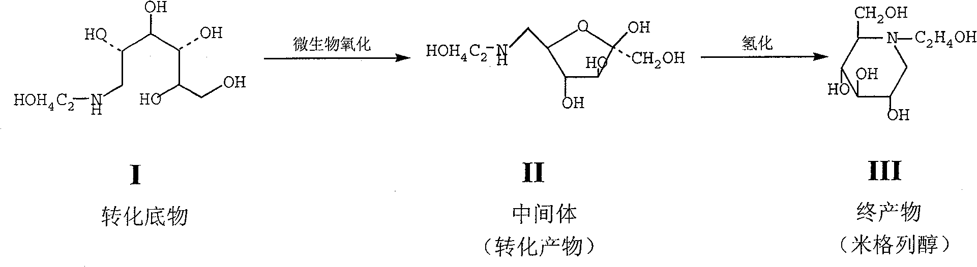 Bacillus of oxidizing glucose, and application