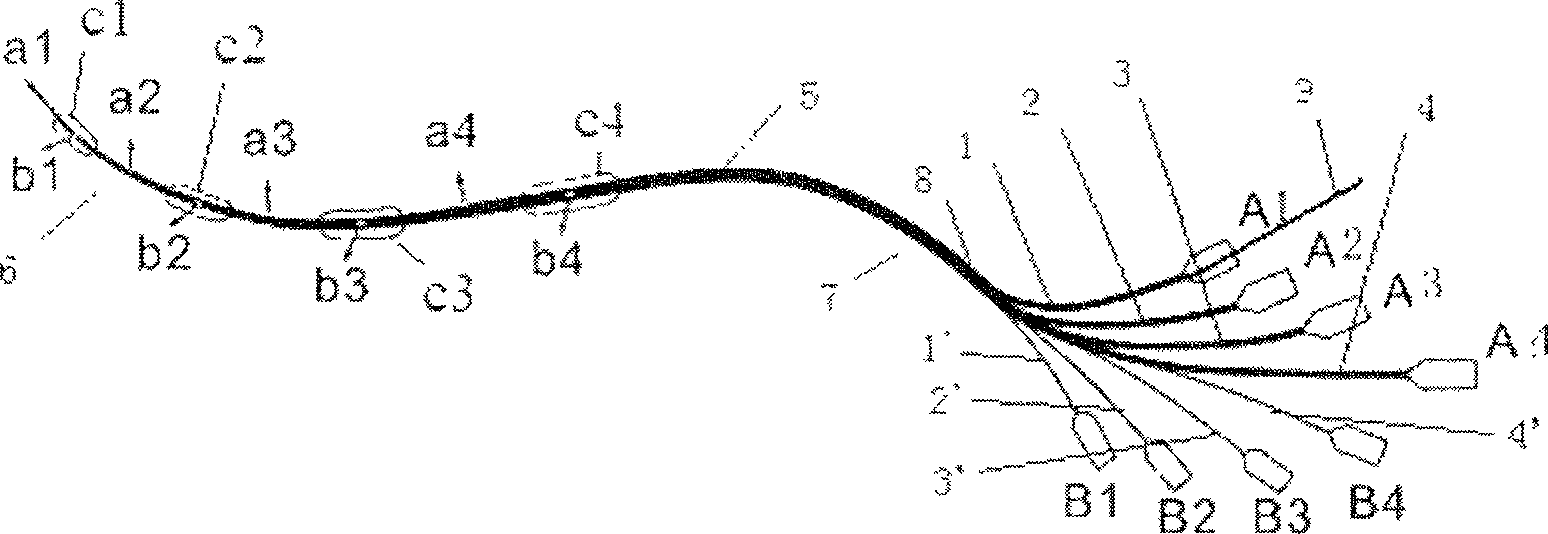 Liver segment positioning catheter