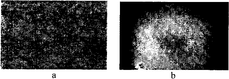 Nano hydroxyapatite coating and preparation method thereof and electrostatic atomization device