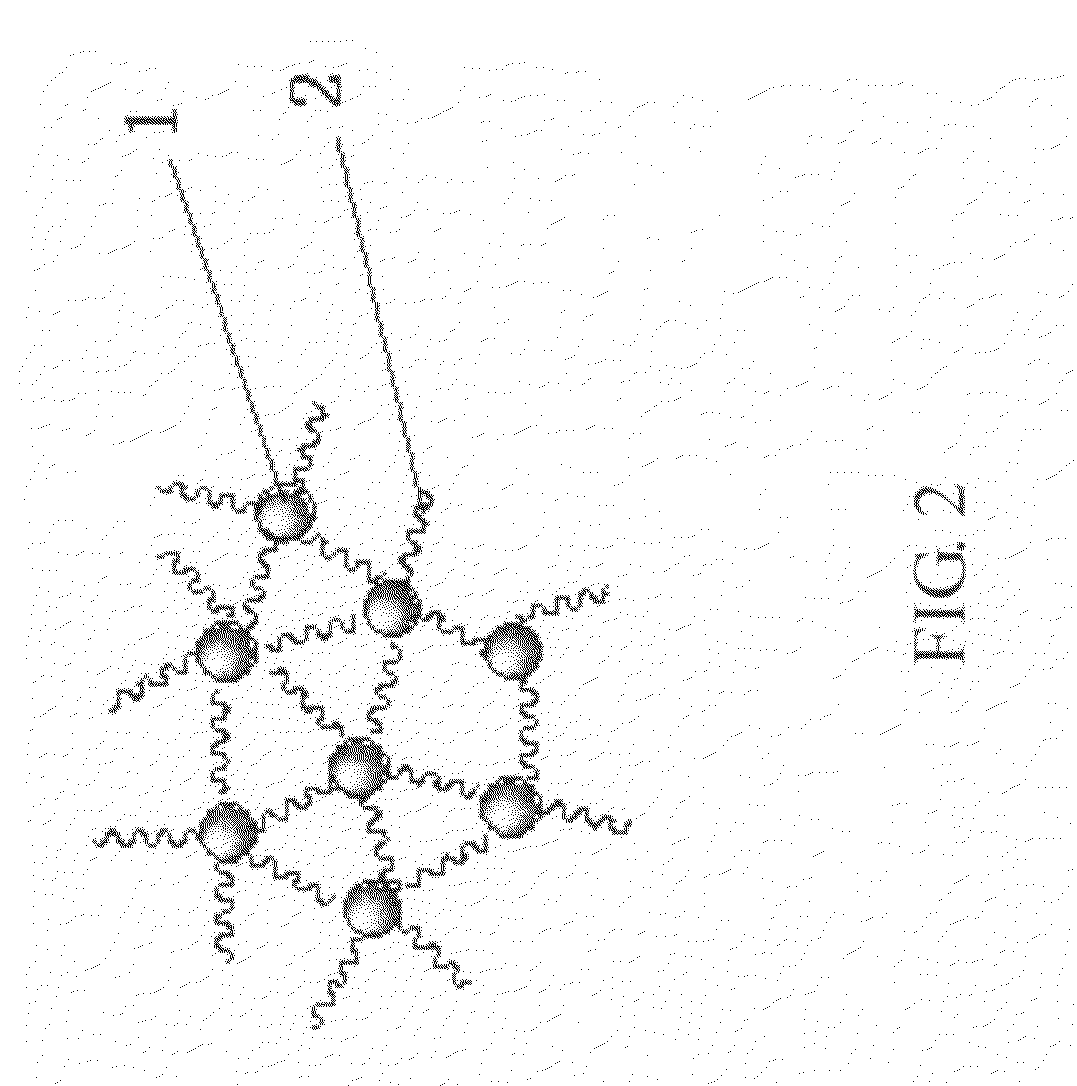 Method for modifying Nomal Clay and a method for Producing Composite Elastomer from the Clay