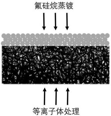 Anisotropic wound dressing and preparation method thereof