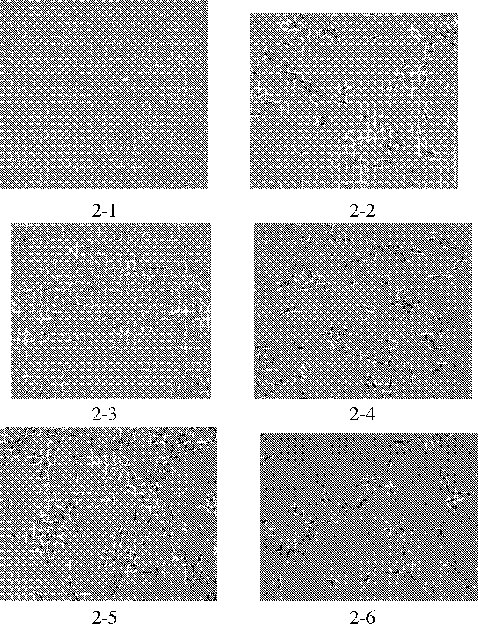 Methods for producing nerve cells from stem cells, nerve cells and uses thereof