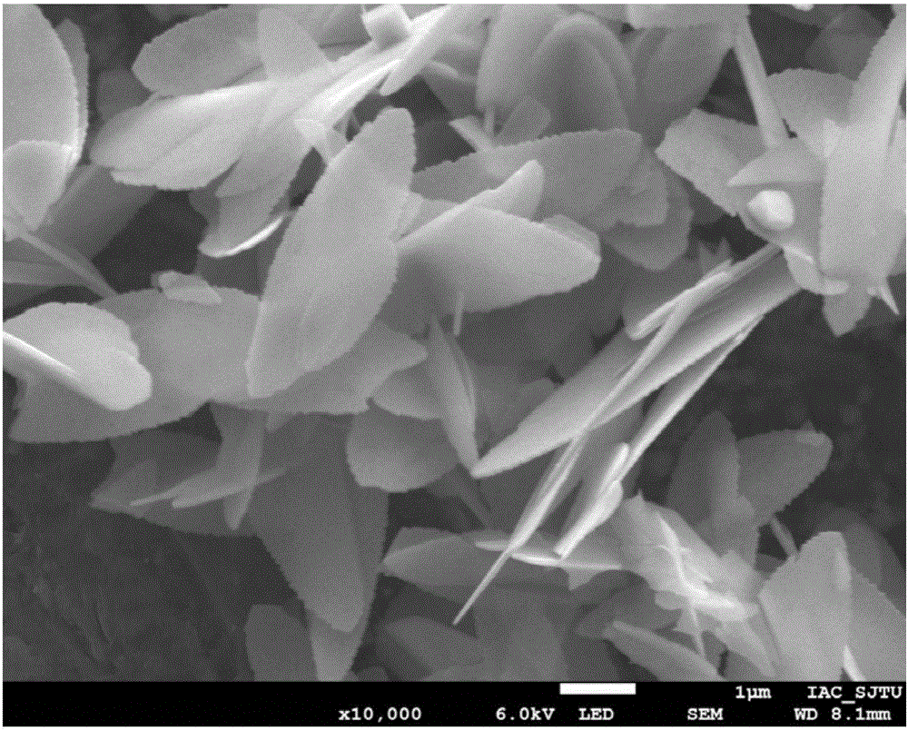 Method for preparing porous flaky nano aluminum oxide