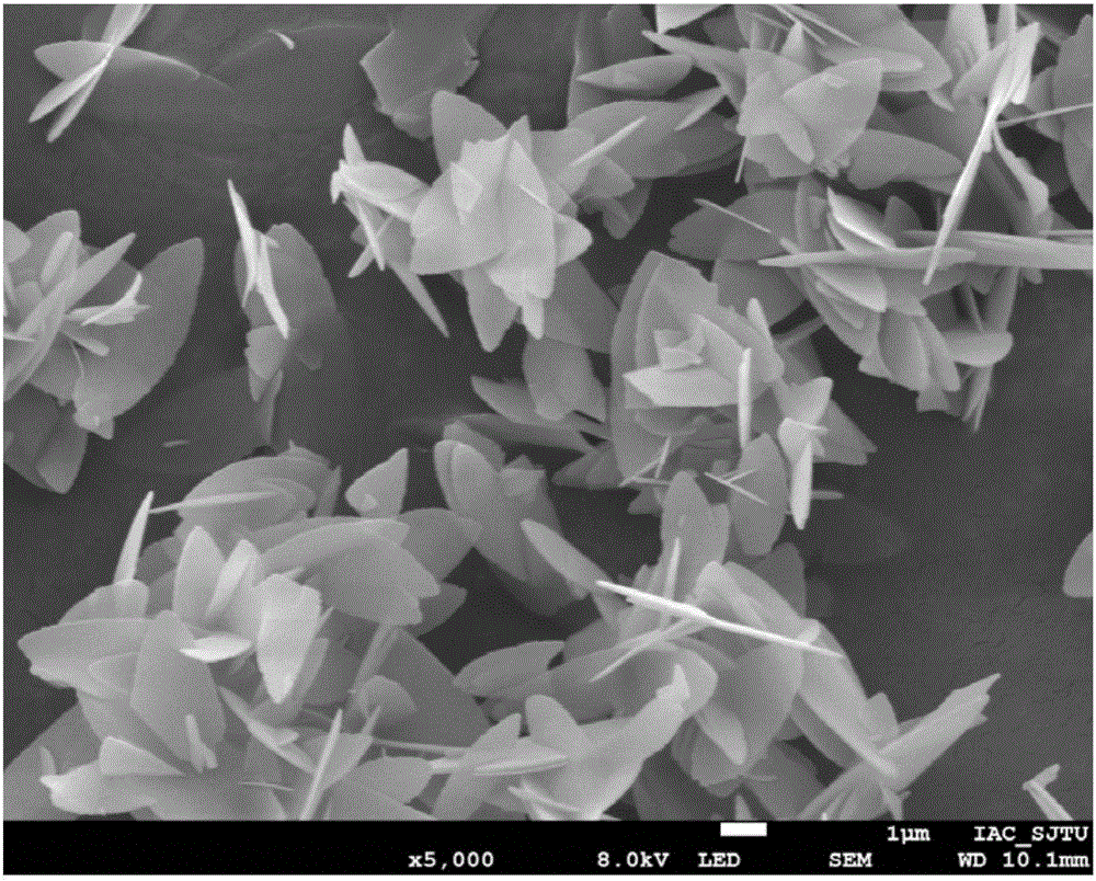 Method for preparing porous flaky nano aluminum oxide