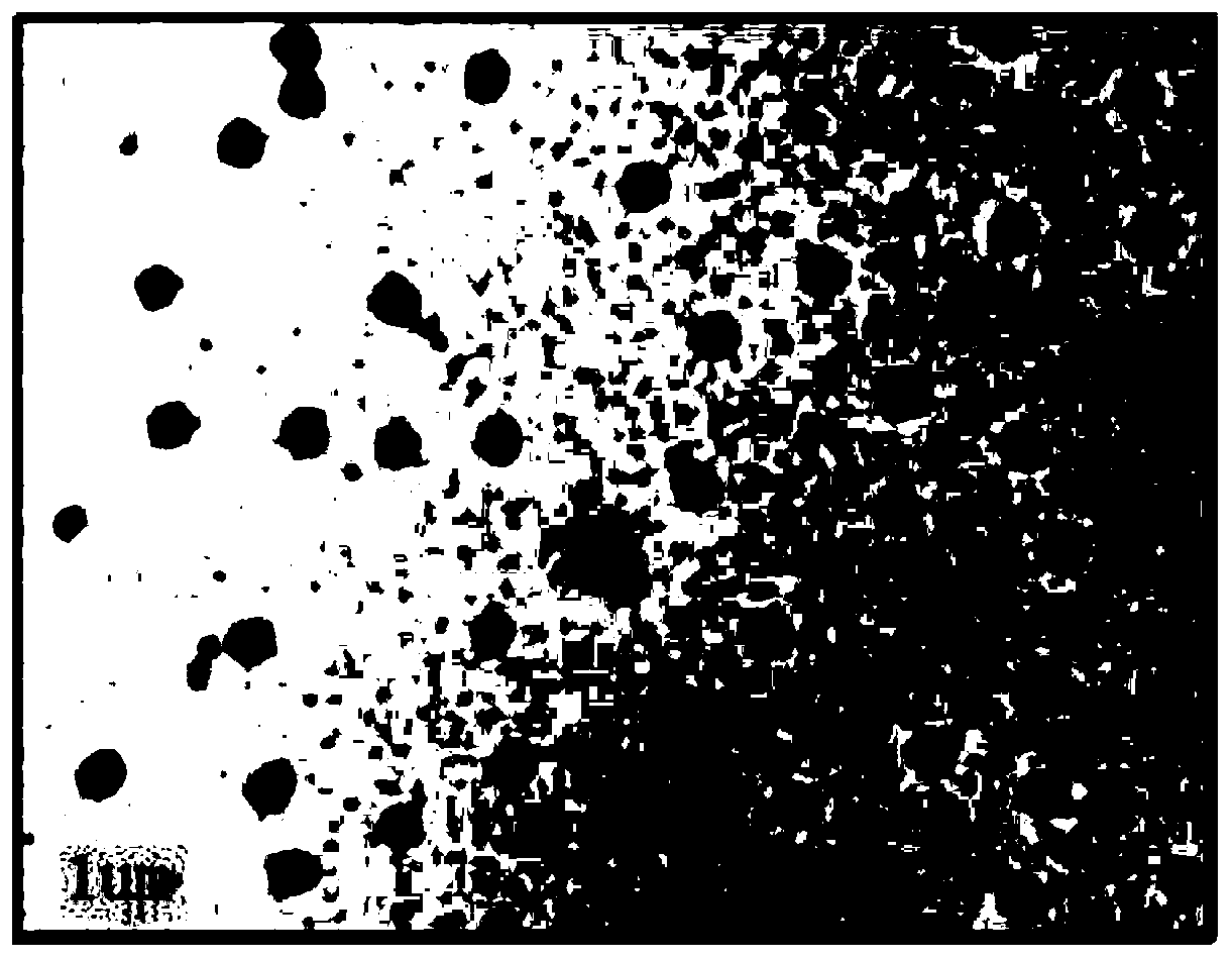 Preparation method of temperature-sensitive microgel uniformly coated with nano iron oxide