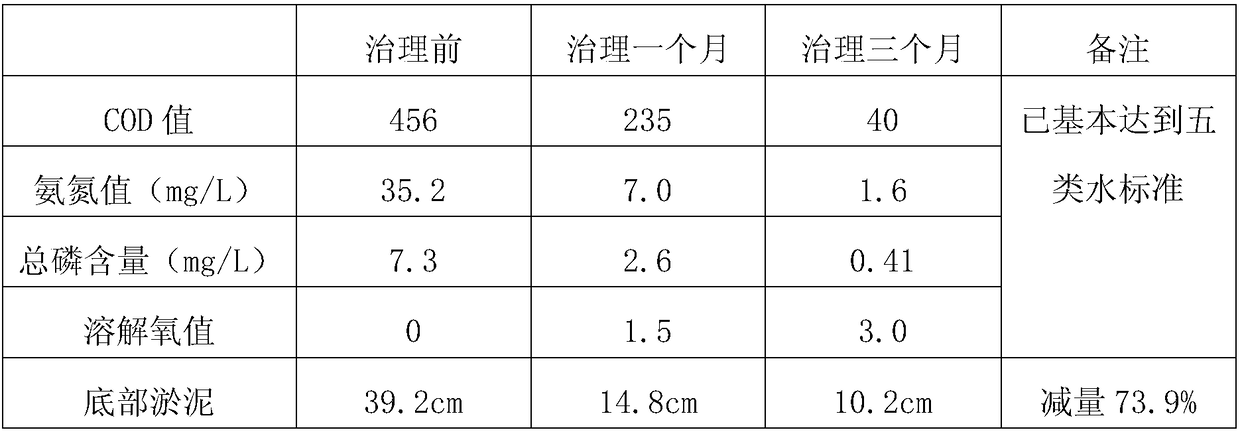 Microbial agent for reducing sludge, carrier thereof and preparation method for carrier thereof