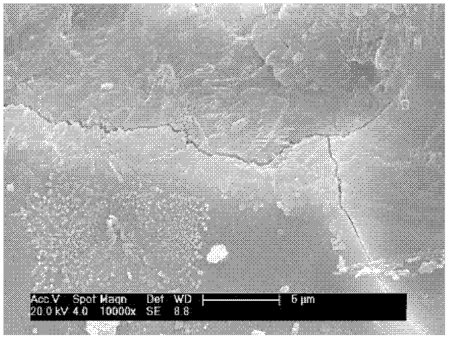 Alkali-activated slag mortar