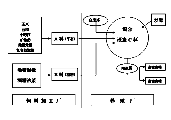 Wet fermentation protein feed for efficient fattening process of beef cattle