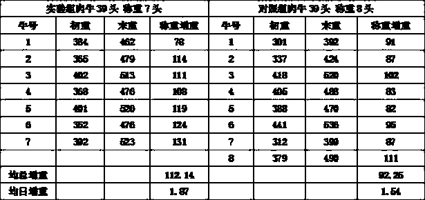 Wet fermentation protein feed for efficient fattening process of beef cattle