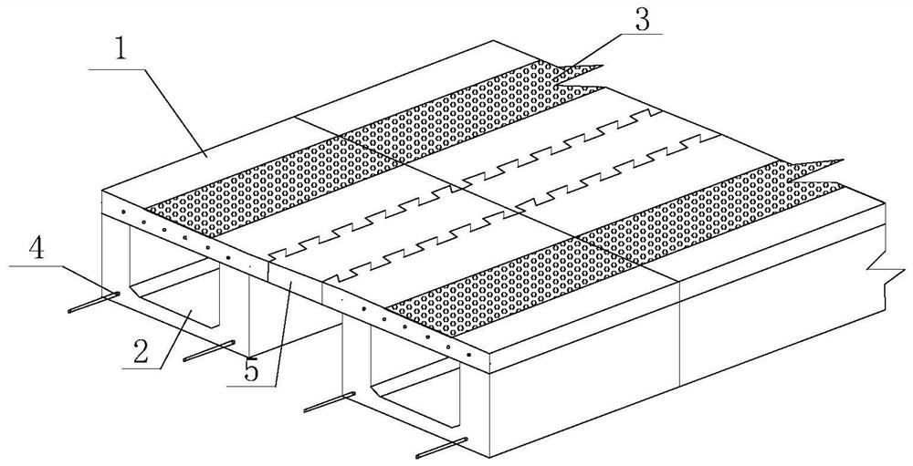 A tunnel cement concrete pavement structure and laying method