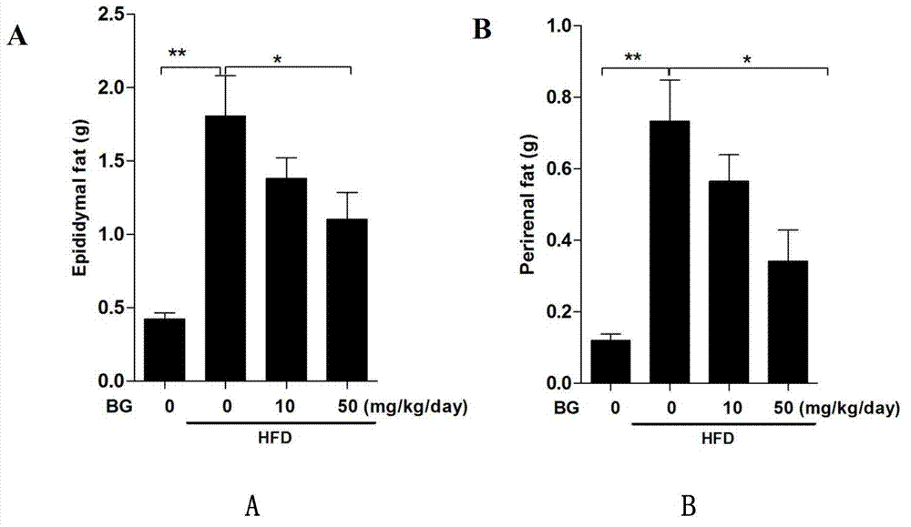 Application of hydroxytyrosol in medicine used for preventing and curing obesity