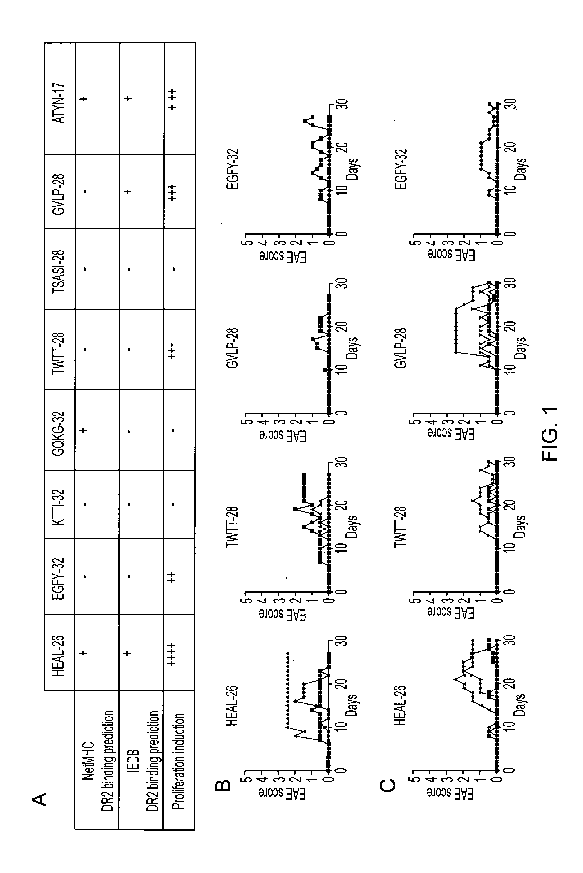 Peptide