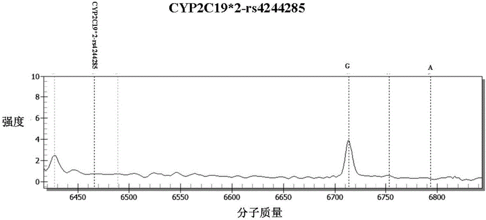 Method and kit for detecting individualized medication related gene in tumor chemotherapy