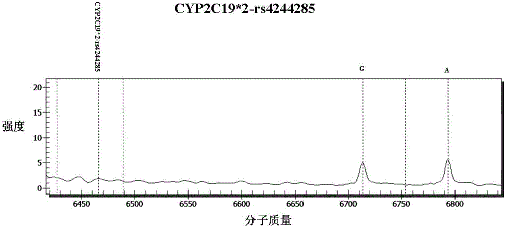 Method and kit for detecting individualized medication related gene in tumor chemotherapy