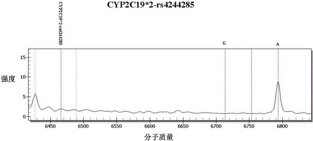 Method and kit for detecting individualized medication related gene in tumor chemotherapy