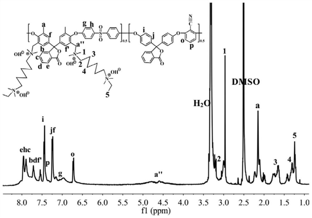 Anion exchange membrane containing dense flexible ion strings and preparation method of anion exchange membrane