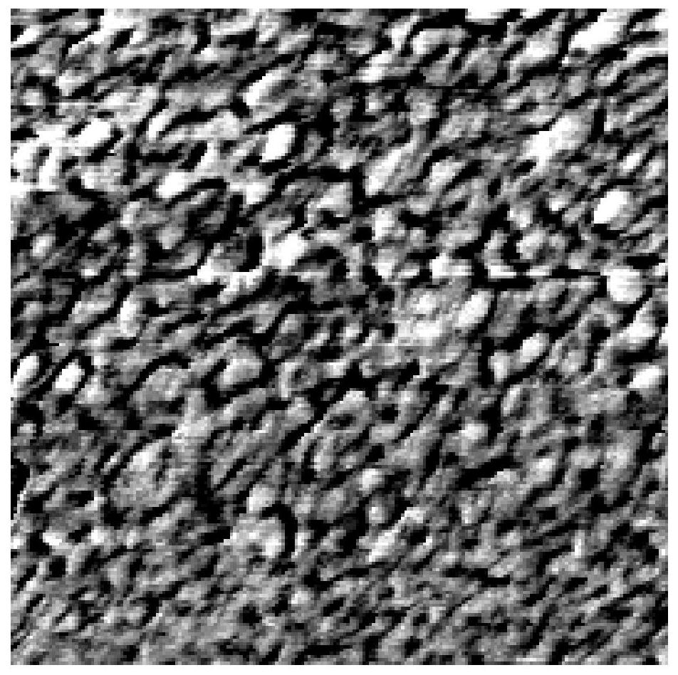 Anion exchange membrane containing dense flexible ion strings and preparation method of anion exchange membrane