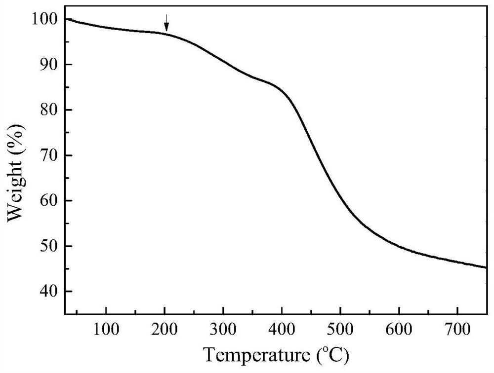 Anion exchange membrane containing dense flexible ion strings and preparation method of anion exchange membrane