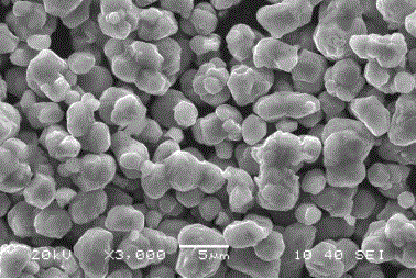 High-temperature rate type lithium cobalt oxide anode material and preparation method thereof