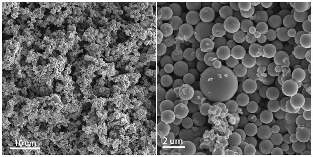 Carbon-doped nickel phosphide composite antibacterial material as well as preparation method and application thereof