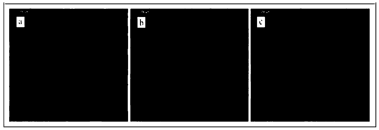 Method for evaluating influence of tight reservoir micro-pore structure features on effects of displacement of oil by water