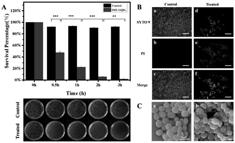 Preparation method of soluble microneedle patch constructed based on graphene quantum dots and used for treating bacterial keratitis