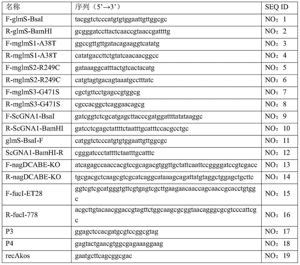 Genetically engineered bacteria for efficiently producing N-acetylglucosamine