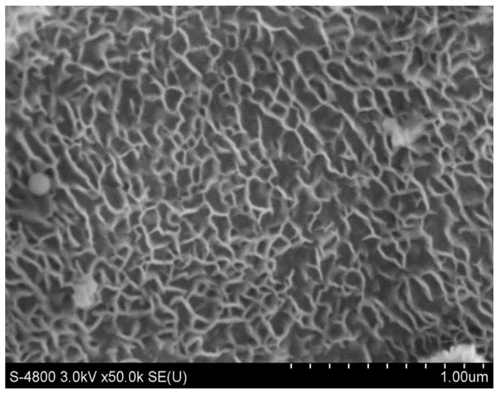 Efficient iron-cobalt layered double-hydroxide coupled nickel-molybdenum hydroxide hydrogen evolution electrode and preparation method thereof