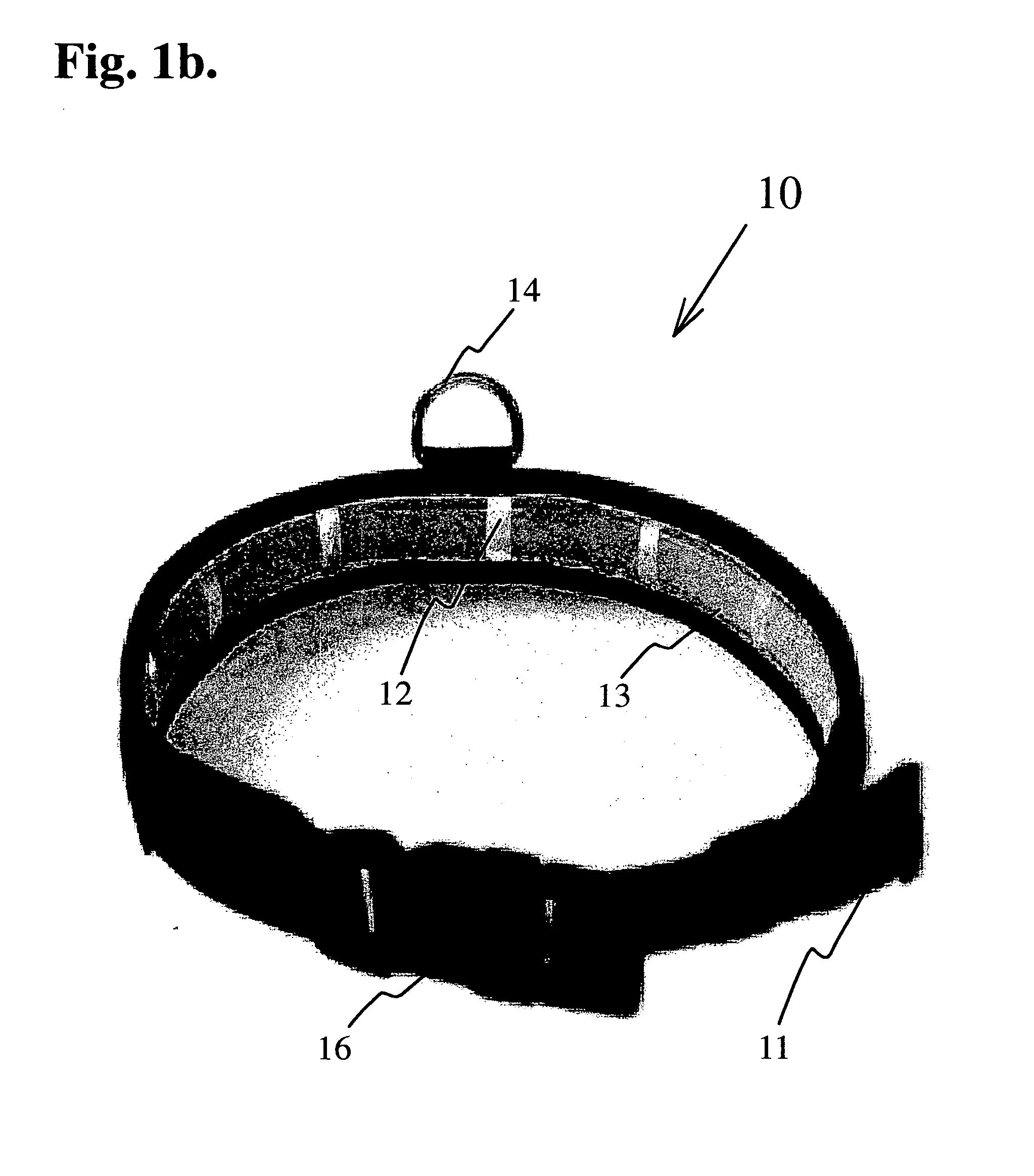 Pet collar with replaceable insecticide element