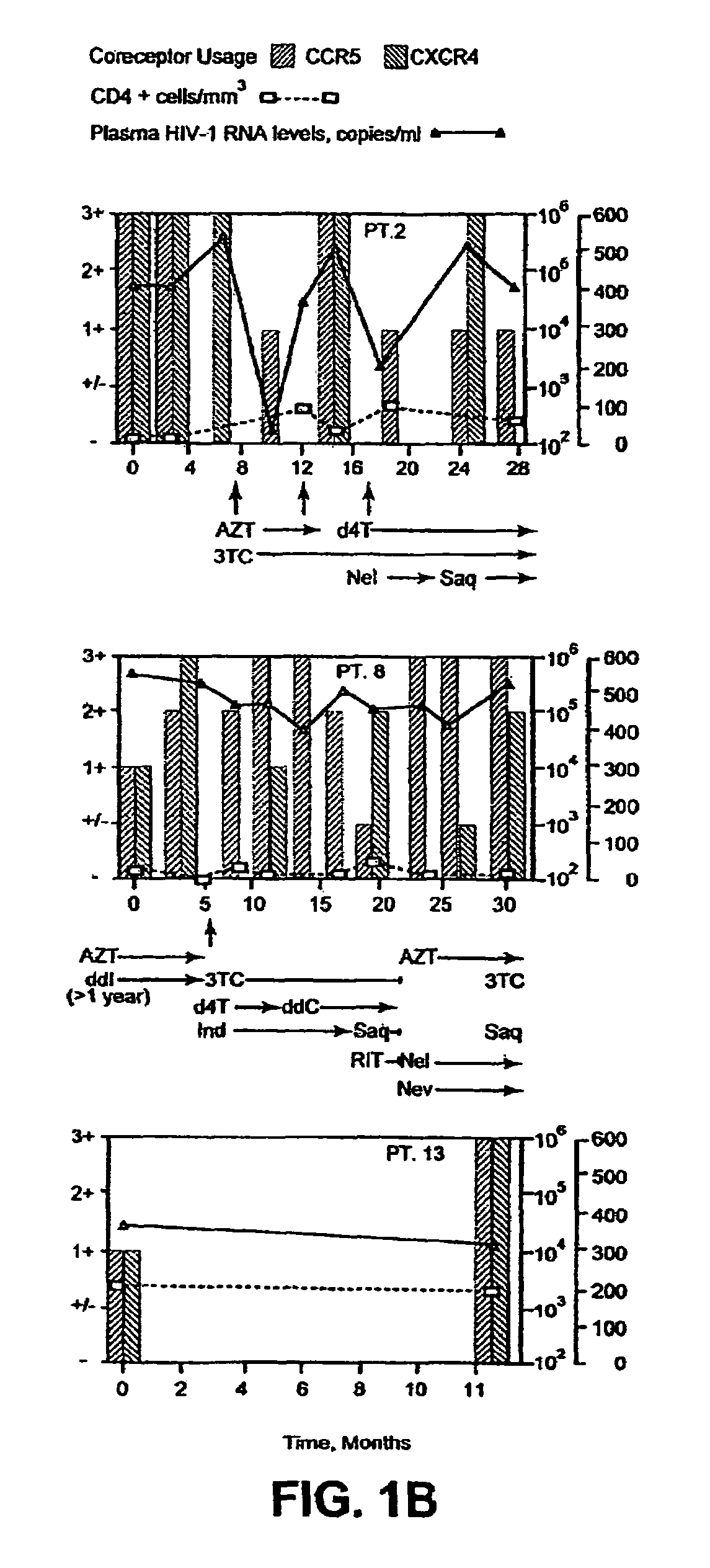 Heteroduplex tracking assay