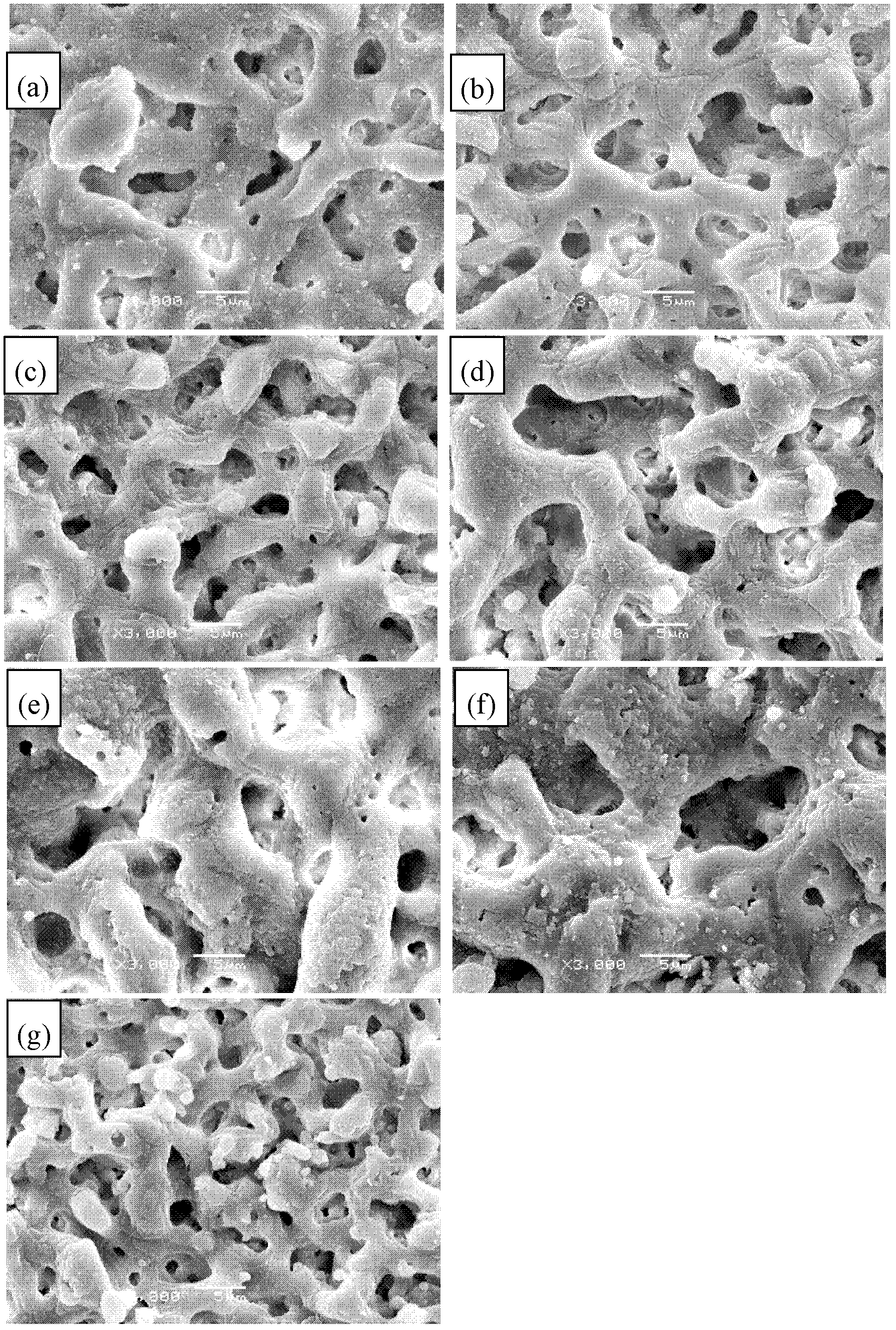 Preparation method of biological ceramic coating rich in calcium and phosphate phases on surface of magnesium alloy