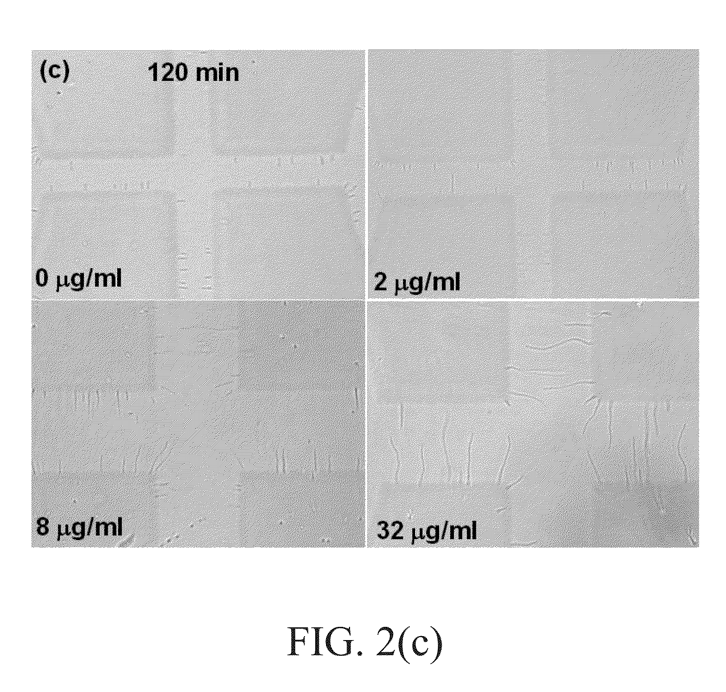 Method for antibiotic susceptibility testing and determining minimum inhibitory concentration of the antibiotic