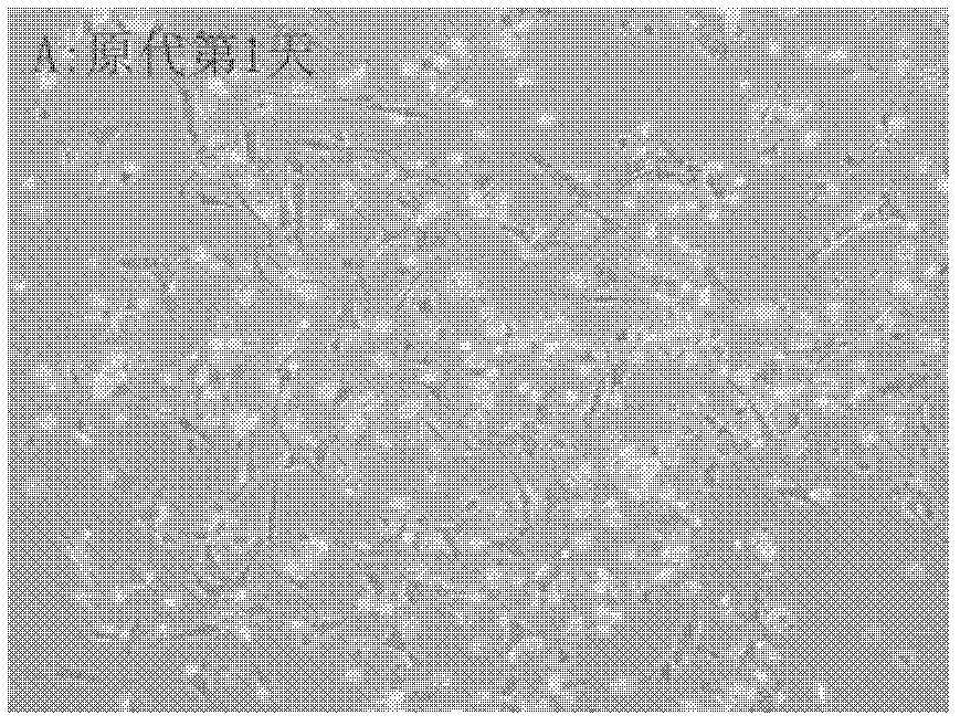 Antiapoptosis high expression hVEGF165 (human Vascular Endothelial Growth Factor 165) cell model and building method thereof