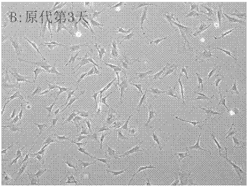 Antiapoptosis high expression hVEGF165 (human Vascular Endothelial Growth Factor 165) cell model and building method thereof