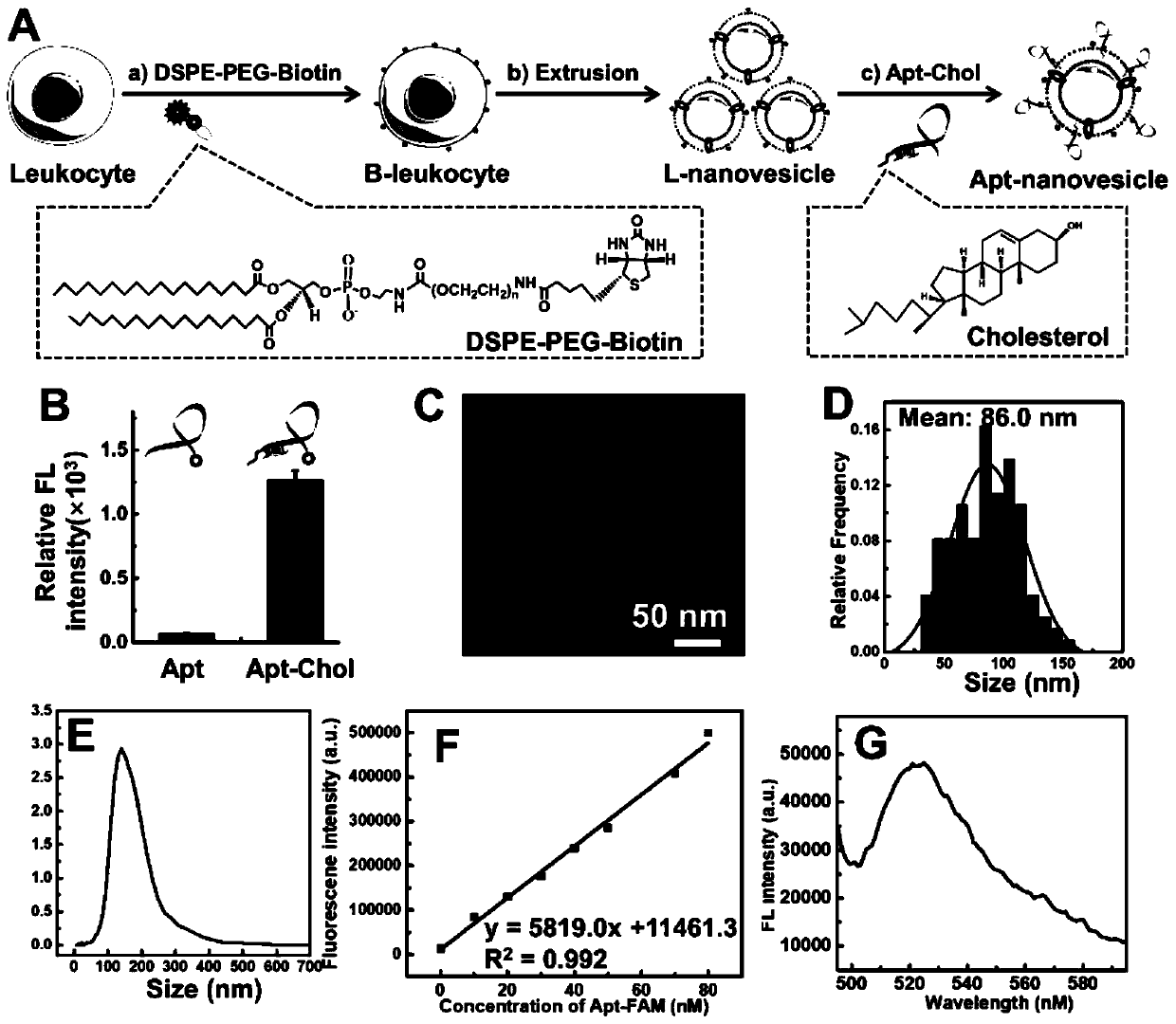 Flow identification nano vesicle used for cell capture, and preparation method and applications thereof